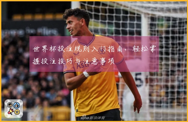 世界杯投注规则入门指南，轻松掌握投注技巧与注意事项