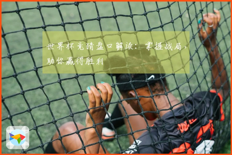 世界杯竞猜盘口解读：掌握战局，助你赢得胜利