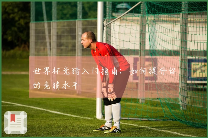 世界杯竞猜入门指南：如何提升你的竞猜水平