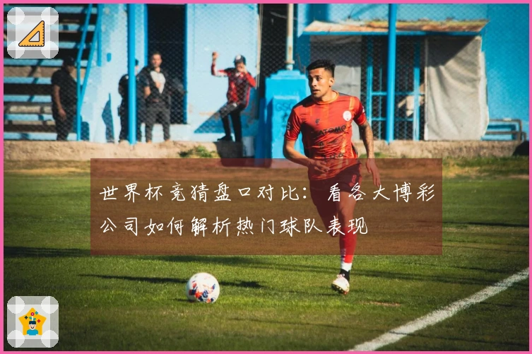 世界杯竞猜盘口对比：看各大博彩公司如何解析热门球队表现