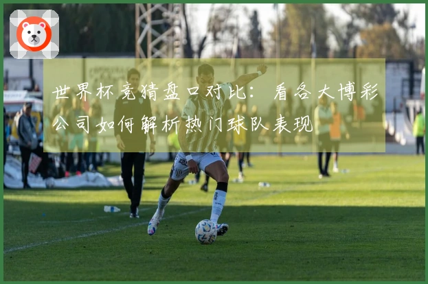 世界杯竞猜盘口对比：看各大博彩公司如何解析热门球队表现