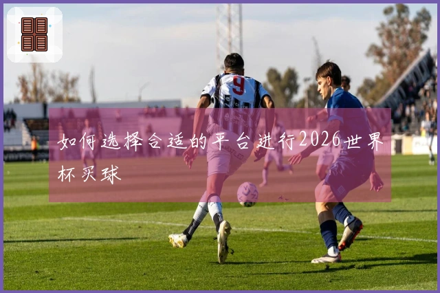 如何选择合适的平台进行2026世界杯买球