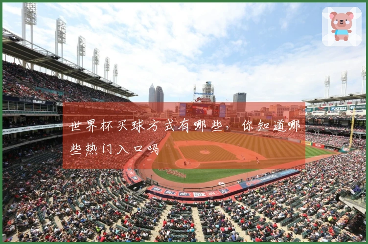 世界杯买球方式有哪些，你知道哪些热门入口吗