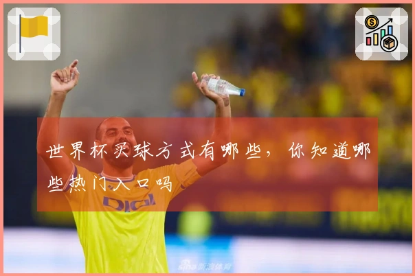 世界杯买球方式有哪些，你知道哪些热门入口吗