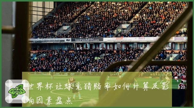 世界杯让球竞猜赔率如何计算及影响因素盘点
