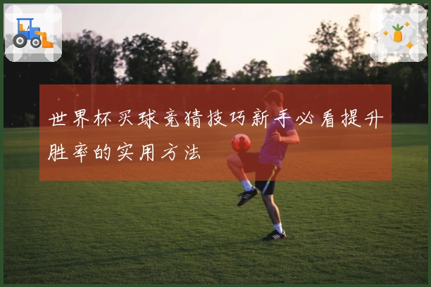 世界杯买球竞猜技巧新手必看提升胜率的实用方法