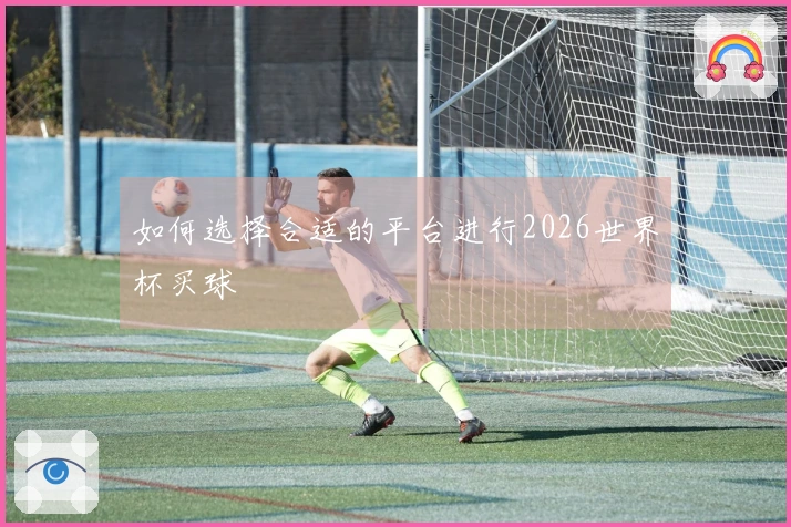 如何选择合适的平台进行2026世界杯买球